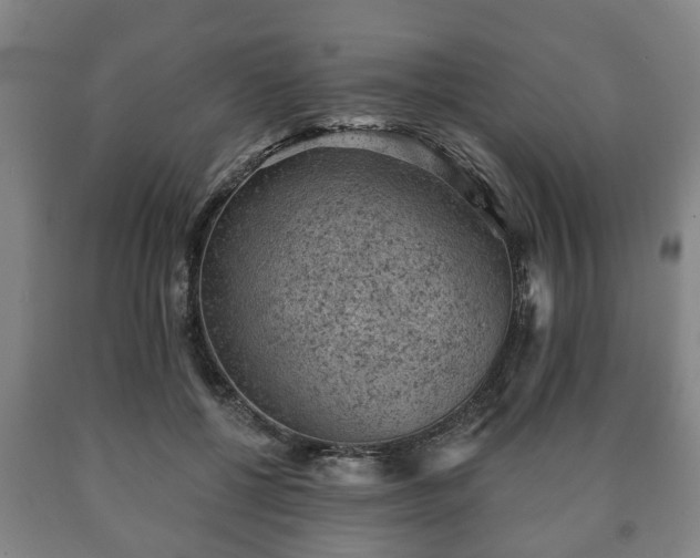 X0000090730552200707271406