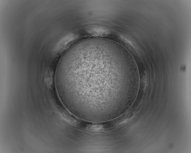 X0000090730554200707271406