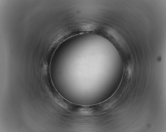 X0000090730556200707271406