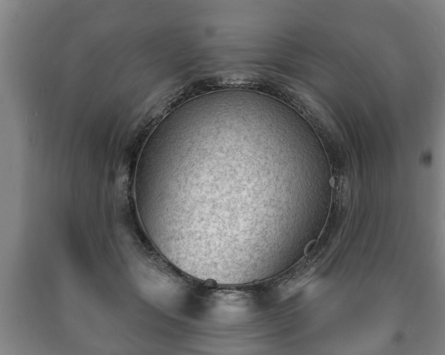 X0000090730557200707271406