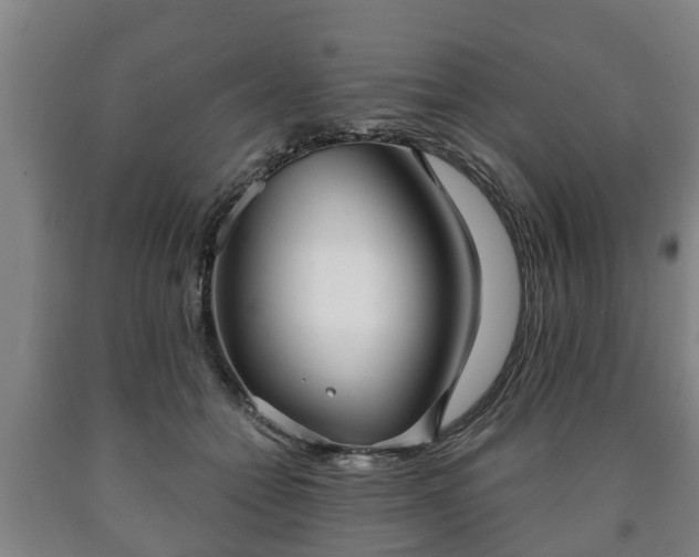 X0000090730558200707271406