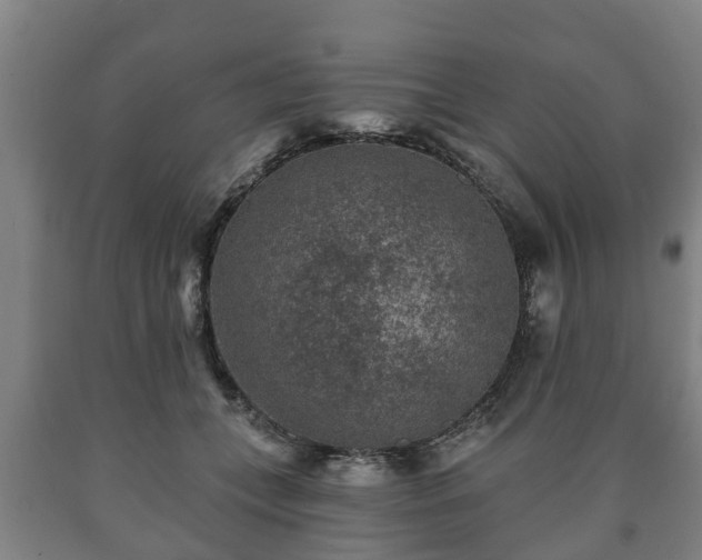 X0000090730559200707271406