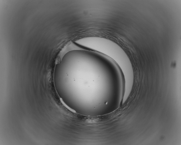 X0000090730560200707271406