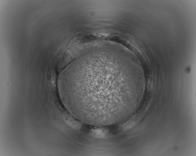 X0000090730561200707271406