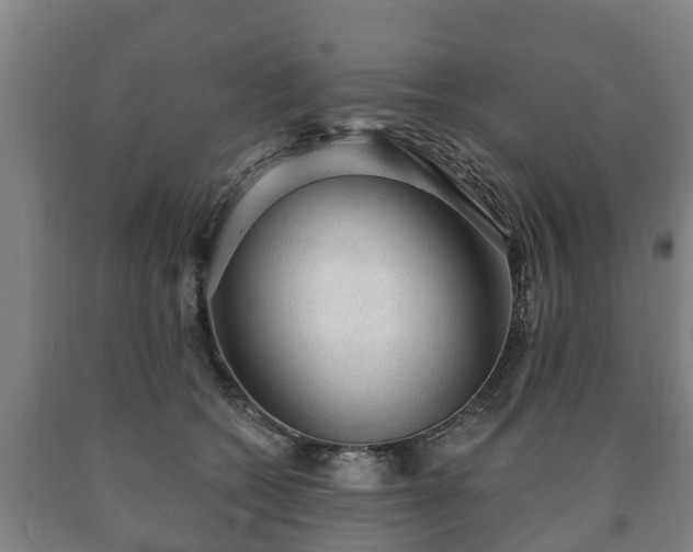 X0000090730562200707271406