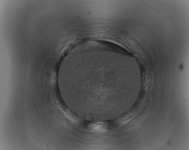 X0000090730563200707271406