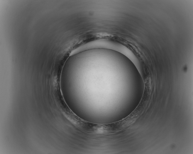 X0000090730564200707271406