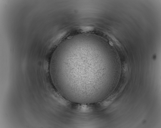 X0000090730565200707271406