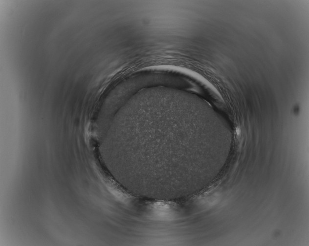 X0000090730566200707271406
