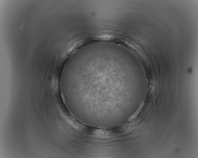 X0000090730568200707271406