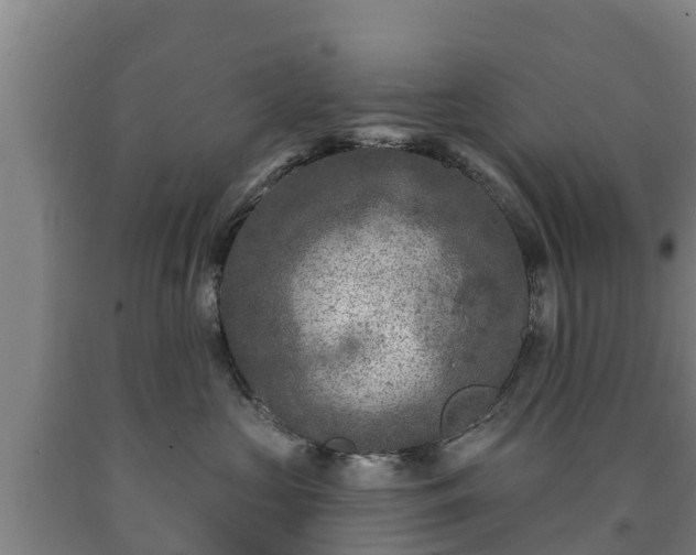 X0000090730573200707271406