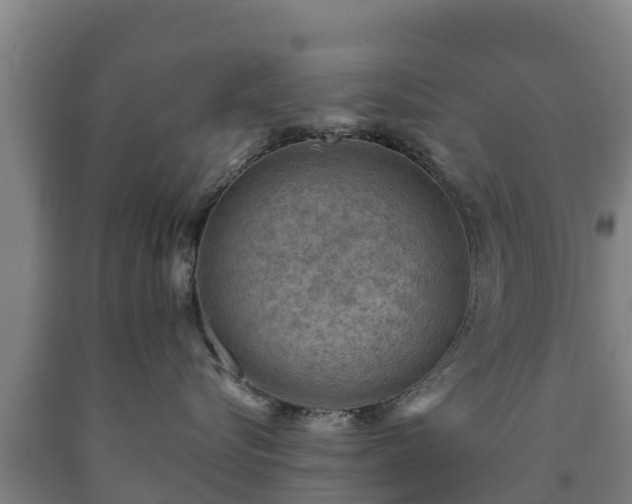 X0000090730576200707271406