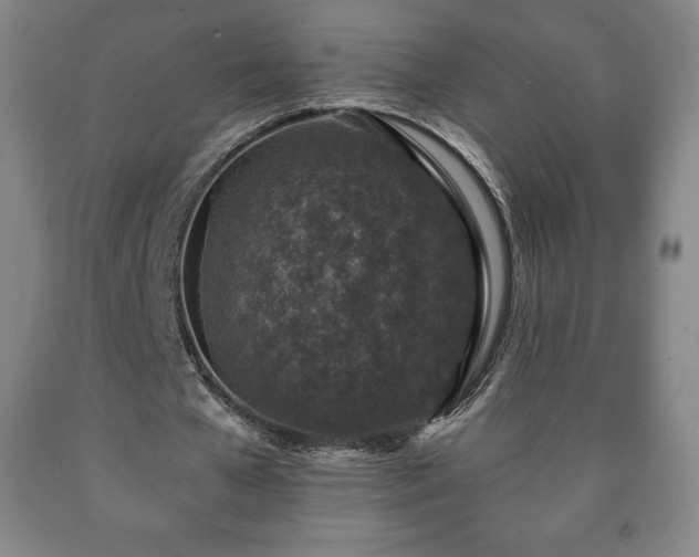 X0000090730577200707271405