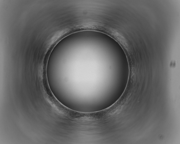 X0000090730578200707271405