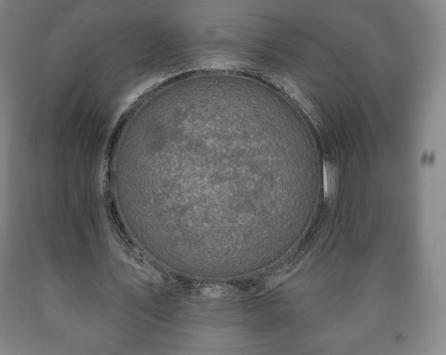 X0000090730579200707271405