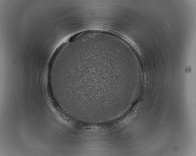 X0000090730580200707271405