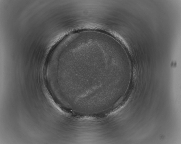 X0000090730581200707271405