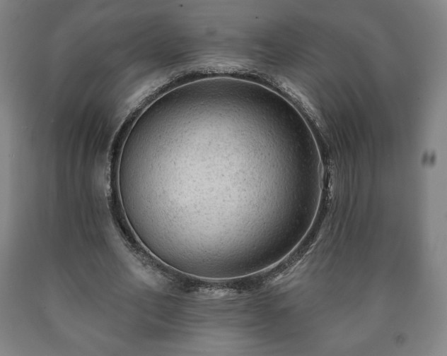 X0000090730582200707271405
