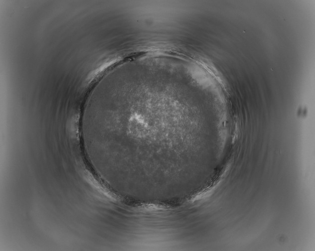 X0000090730585200707271405