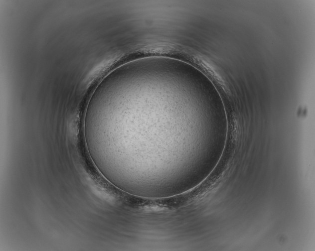 X0000090730586200707271405