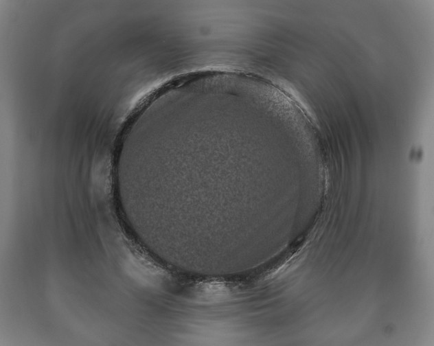 X0000090730588200707271405
