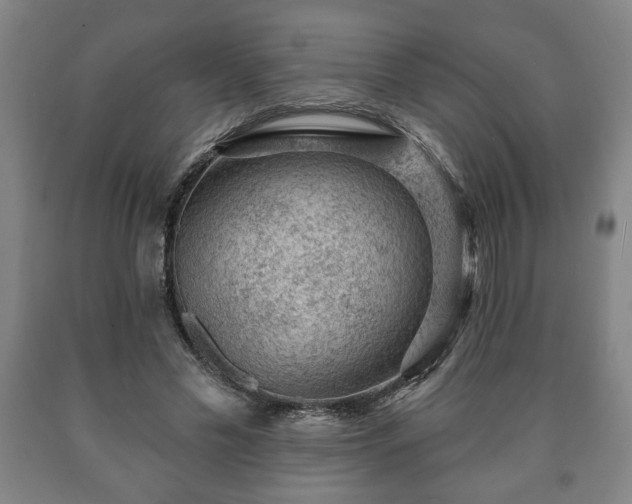 X0000090730589200707271405