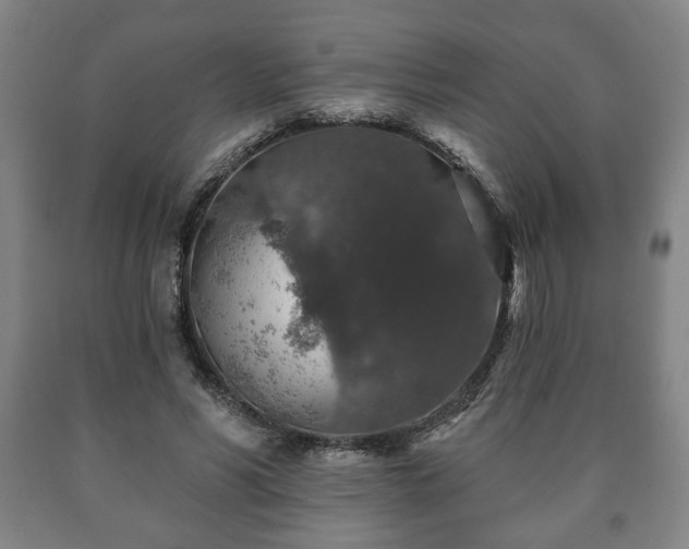 X0000090730590200707271405