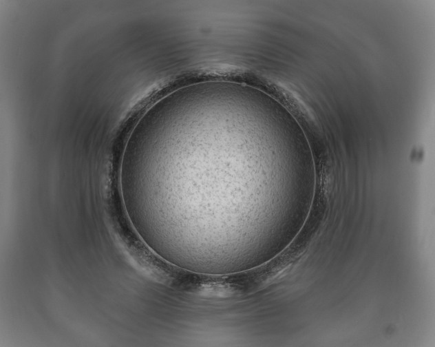 X0000090730591200707271405
