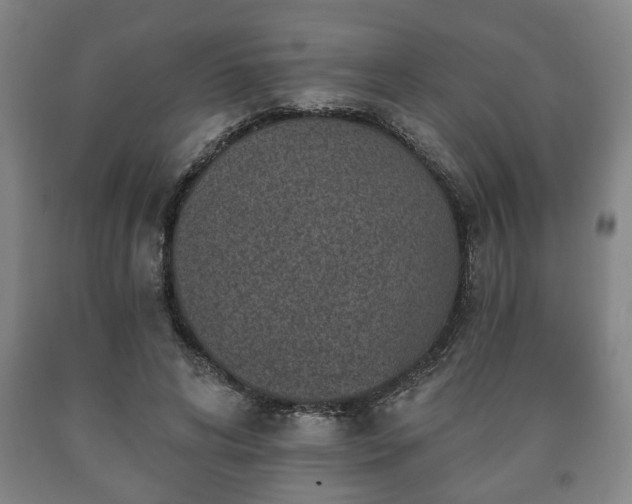 X0000090730592200707271405