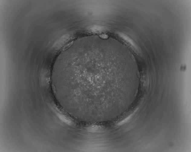 X0000090730593200707271405