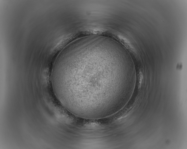 X0000090730594200707271405
