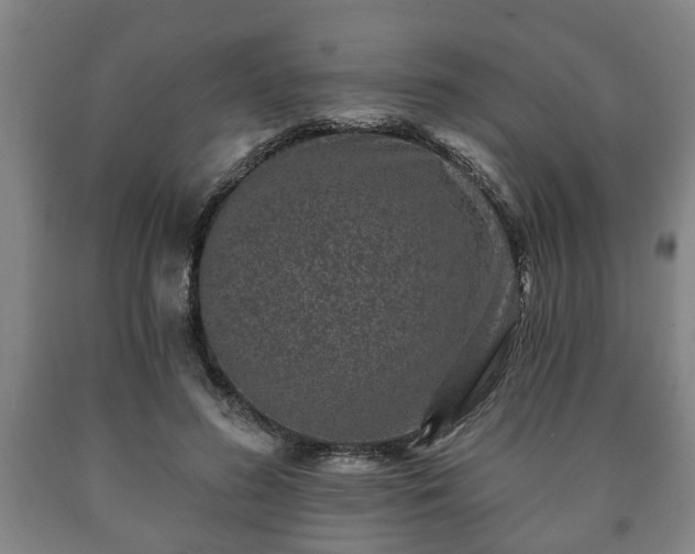 X0000090730596200707271405