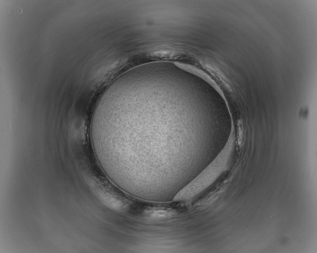 X0000090730597200707271405