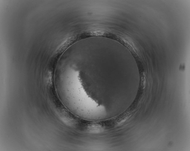 X0000090730598200707271405