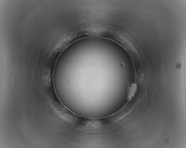 X0000090730599200707271405