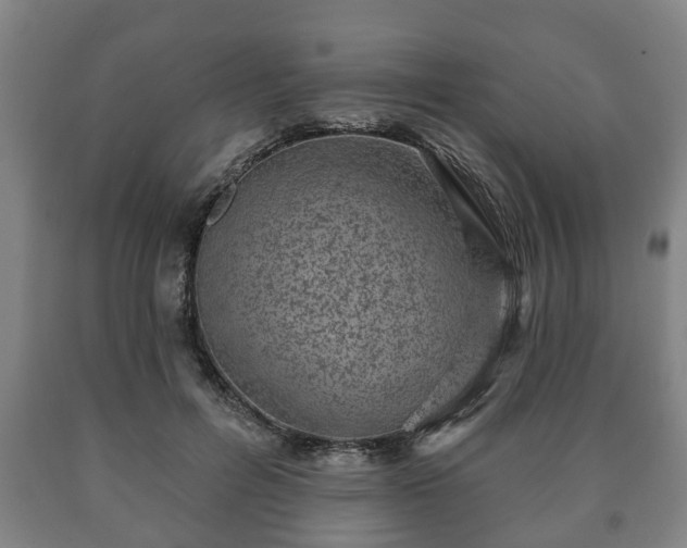 X0000090730600200707271405