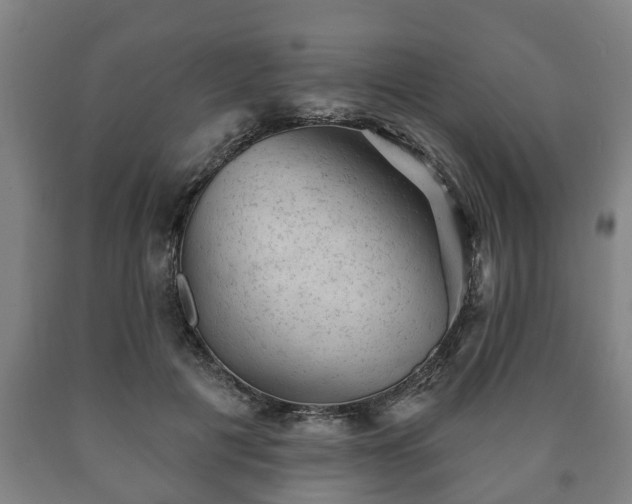 X0000090730601200707271405