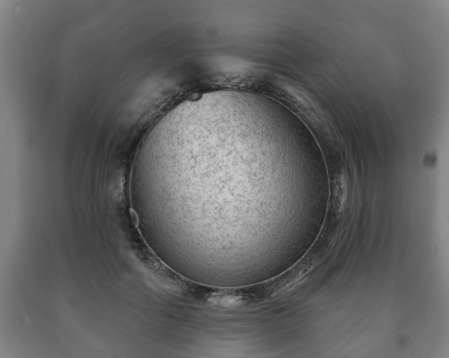 X0000090730602200707271405