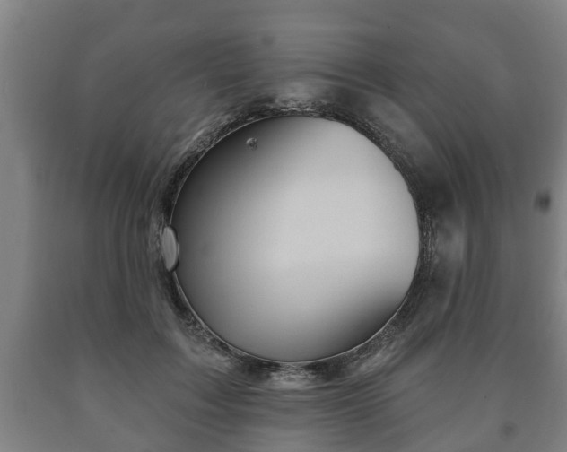 X0000090730603200707271405