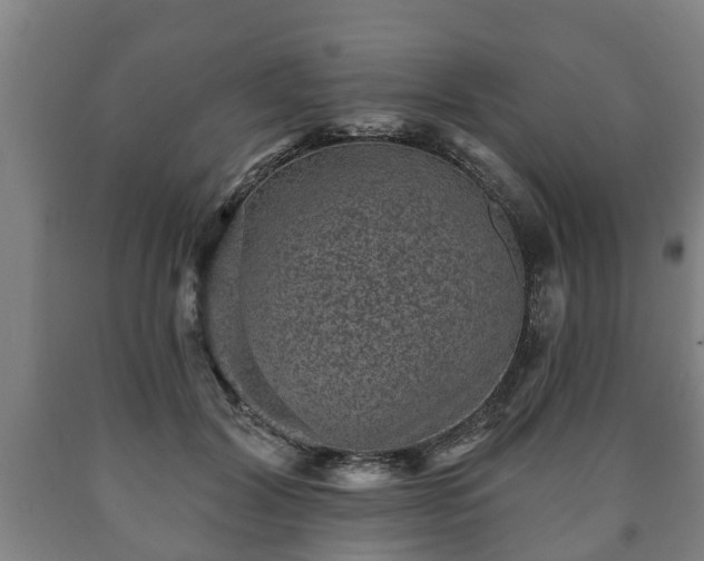 X0000090730604200707271405