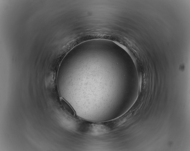 X0000090730605200707271405