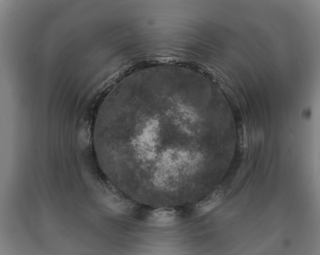 X0000090730606200707271405