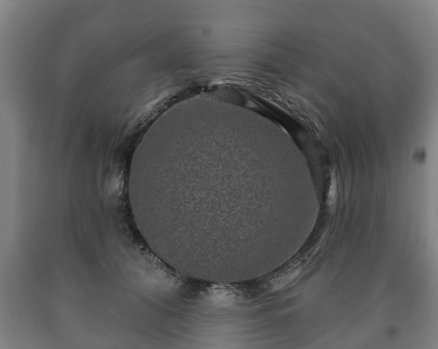 X0000090730608200707271405
