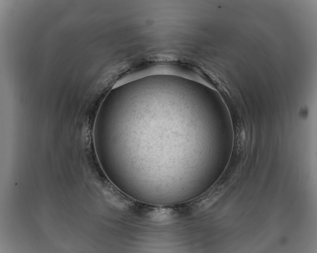 X0000090730609200707271405