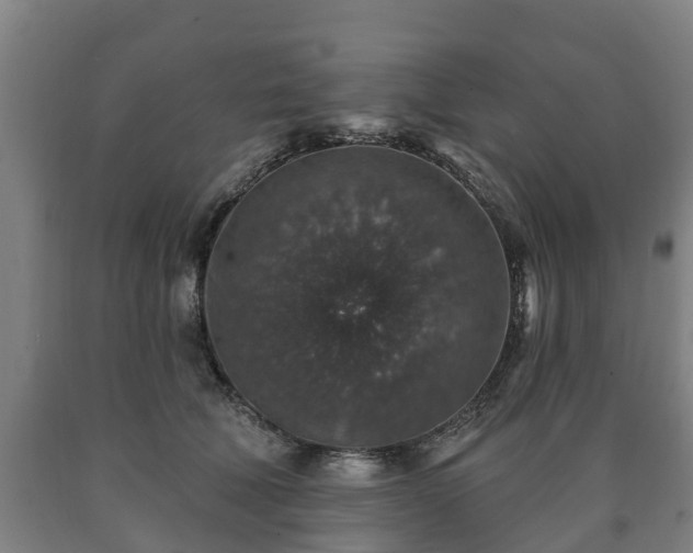 X0000090730610200707271405