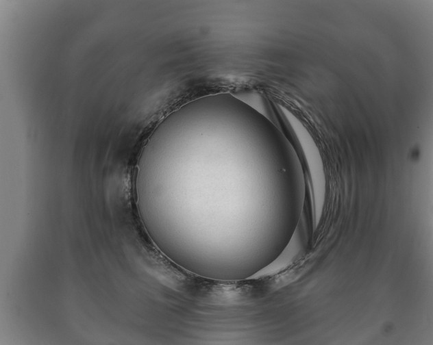 X0000090730613200707271405