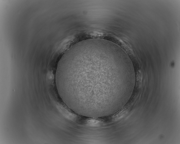 X0000090730614200707271405