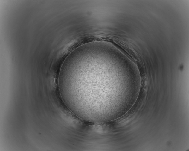 X0000090730615200707271405