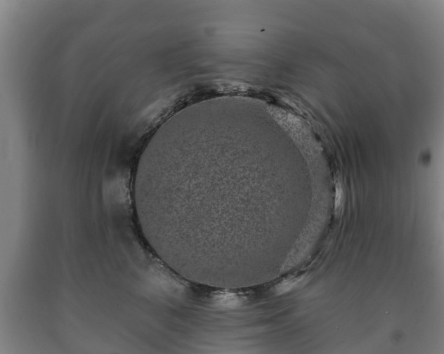 X0000090730616200707271405