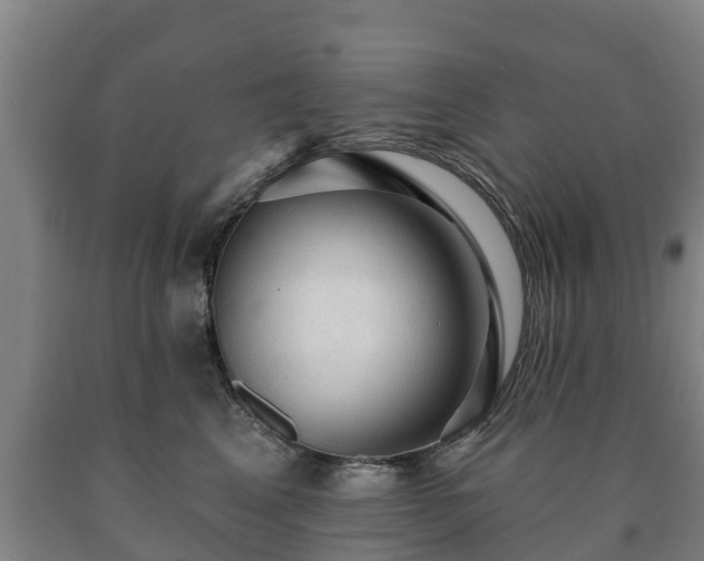X0000090730617200707271405